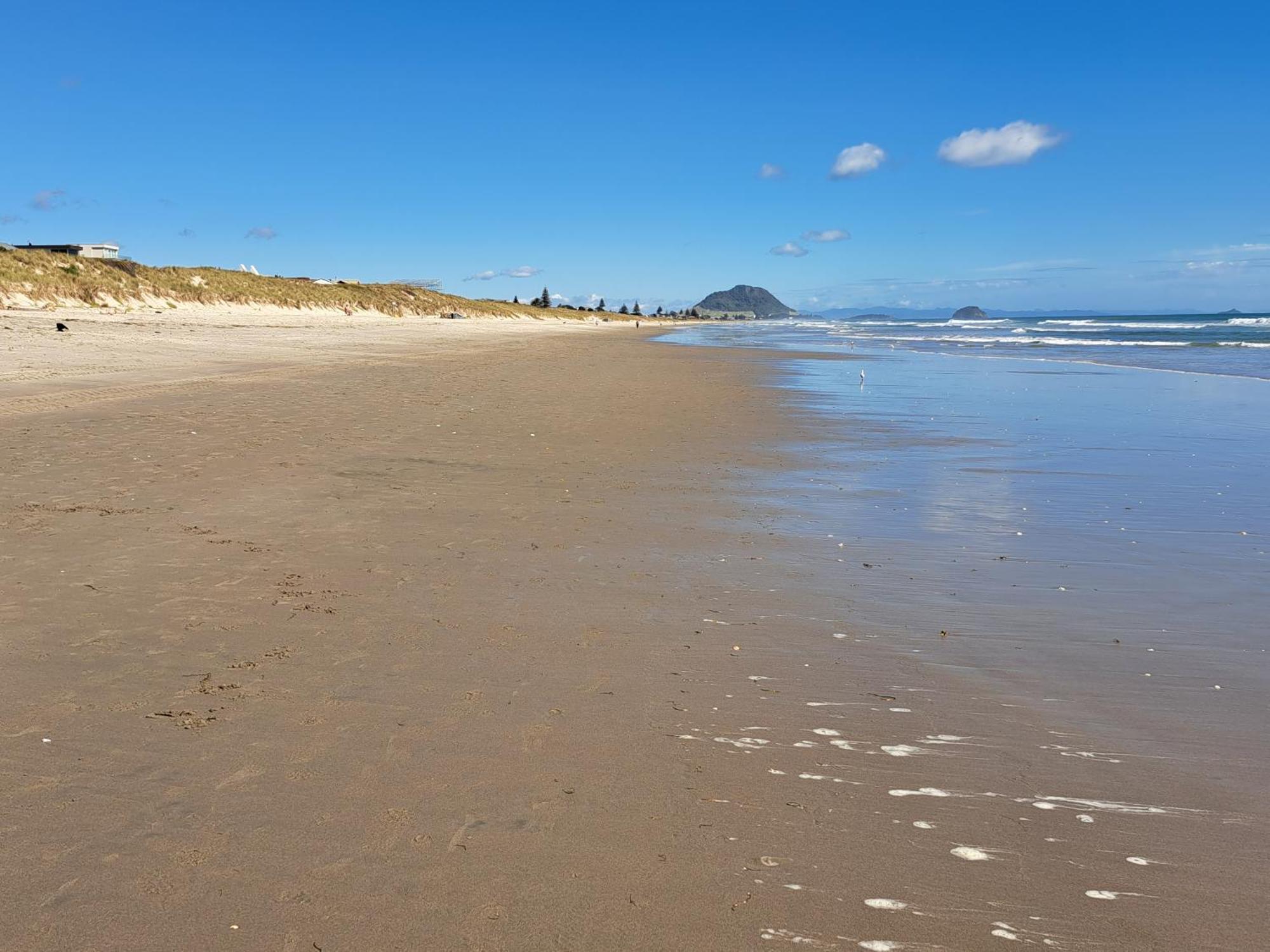 Sunbrae Beach Sands Y เมาท์มองานุย ภายนอก รูปภาพ